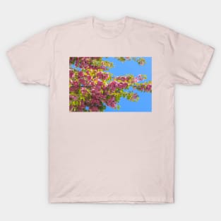 Lovely pink cherry tree flowers in full bloom in a public park T-Shirt